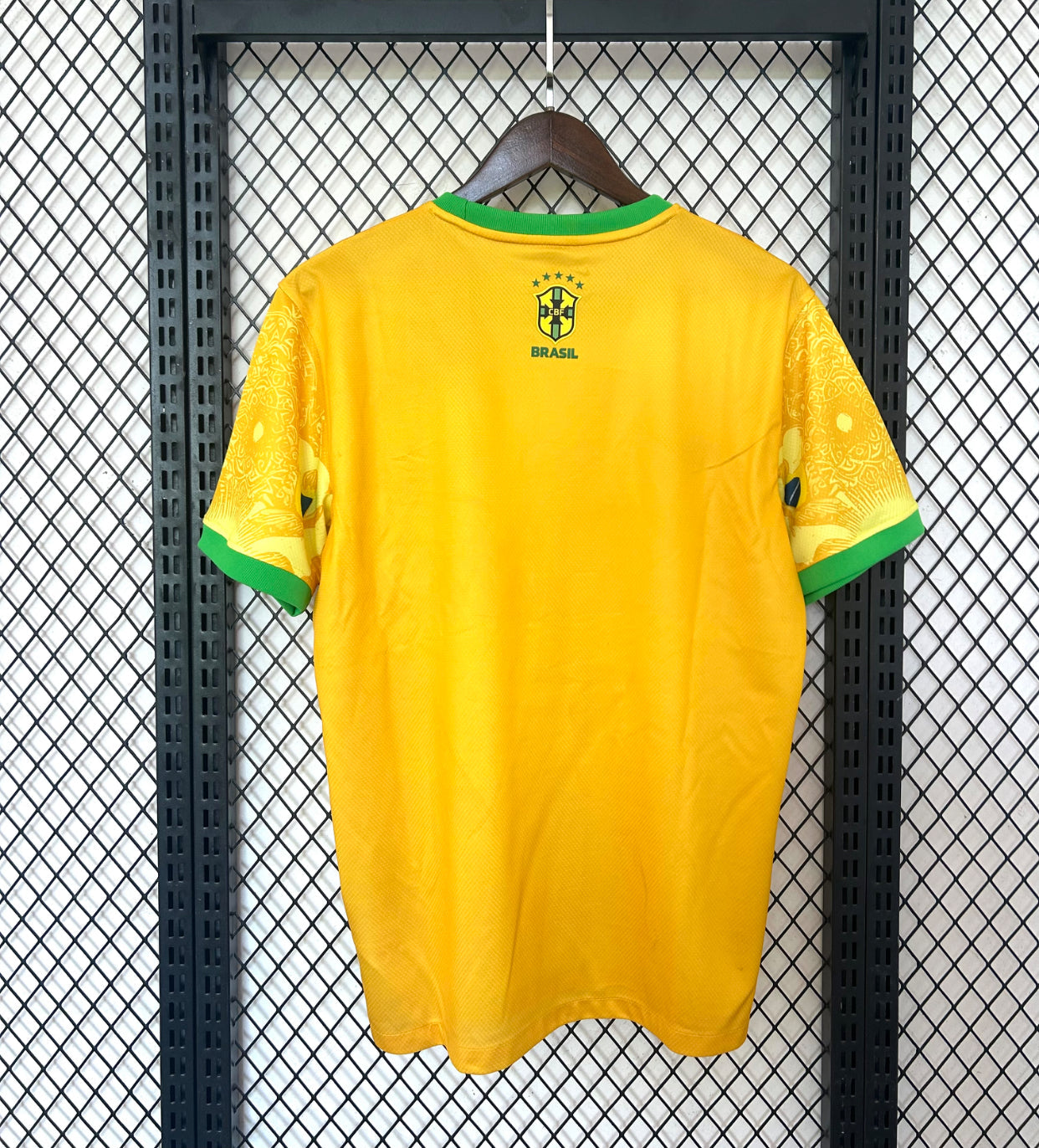 2024/25 Brazil