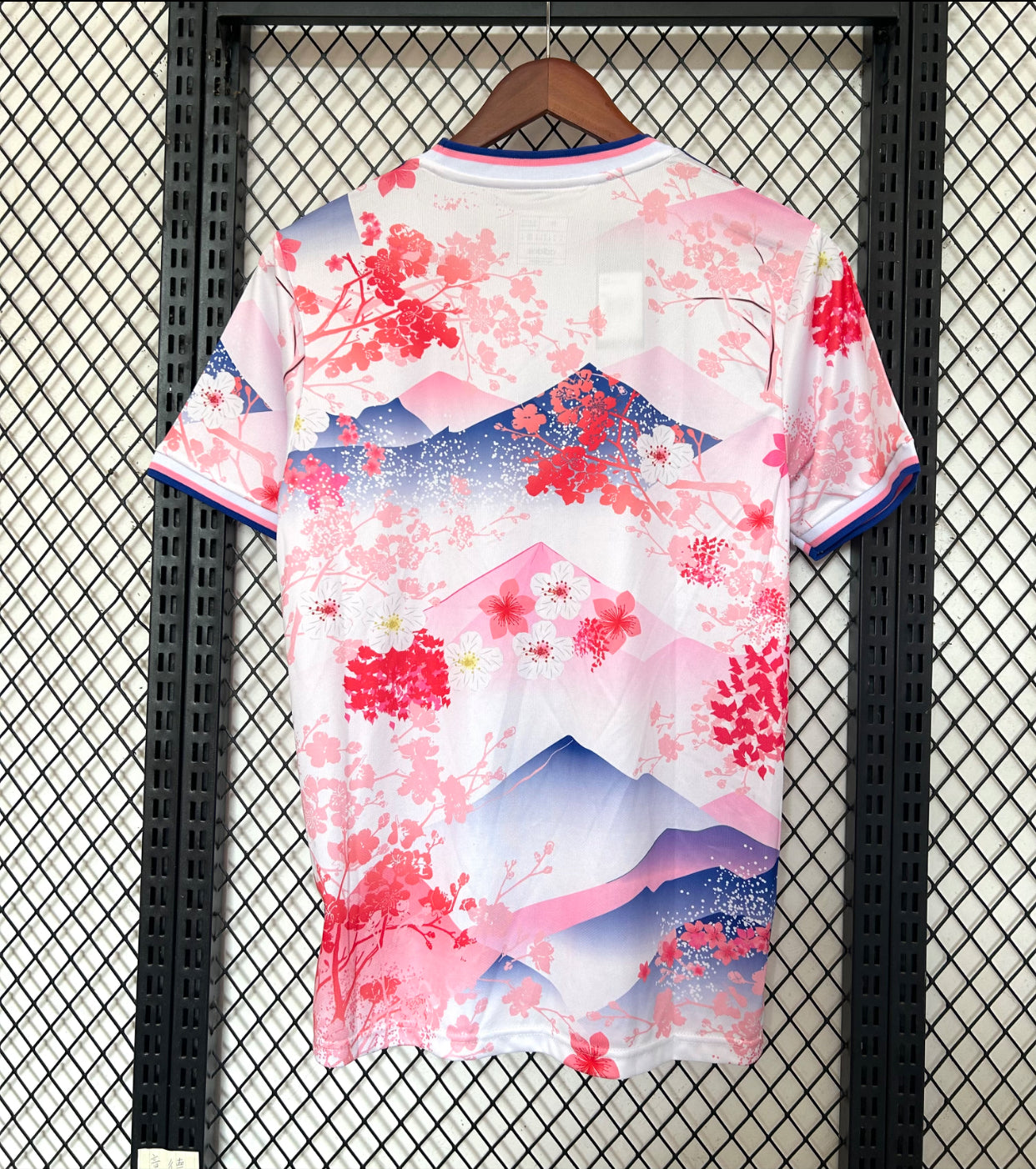 2025/26 Japan